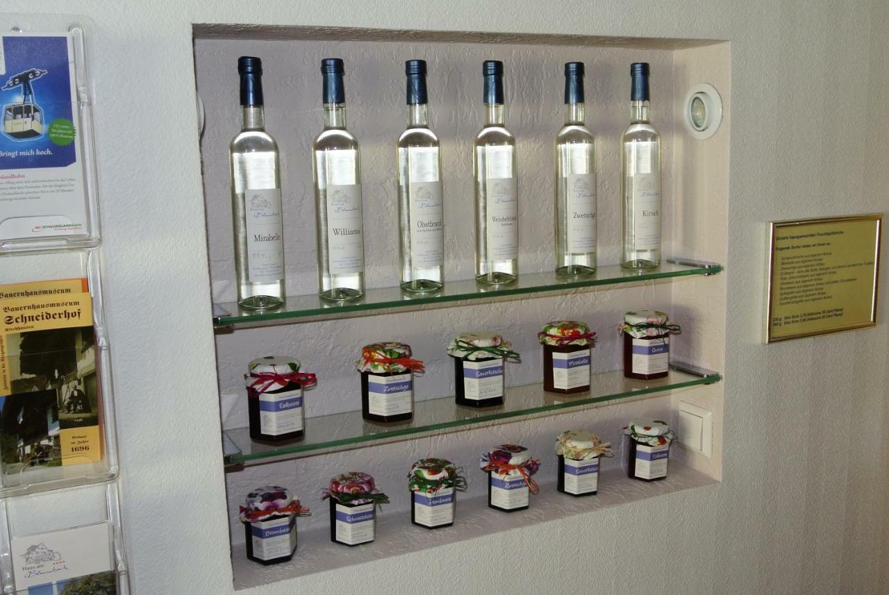 Apartament Haus Am Blauenbach Schliengen Zewnętrze zdjęcie