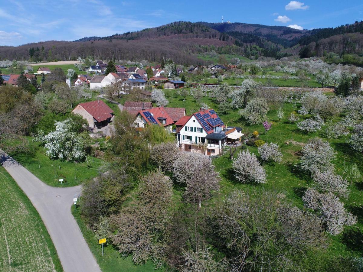 Apartament Haus Am Blauenbach Schliengen Zewnętrze zdjęcie